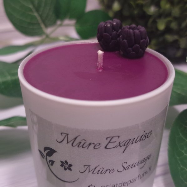 Mûre Exquise