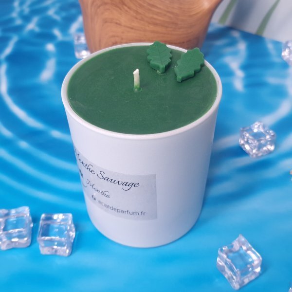 Menthe Sauvage
