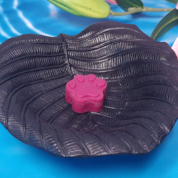 Empreinte Caniche