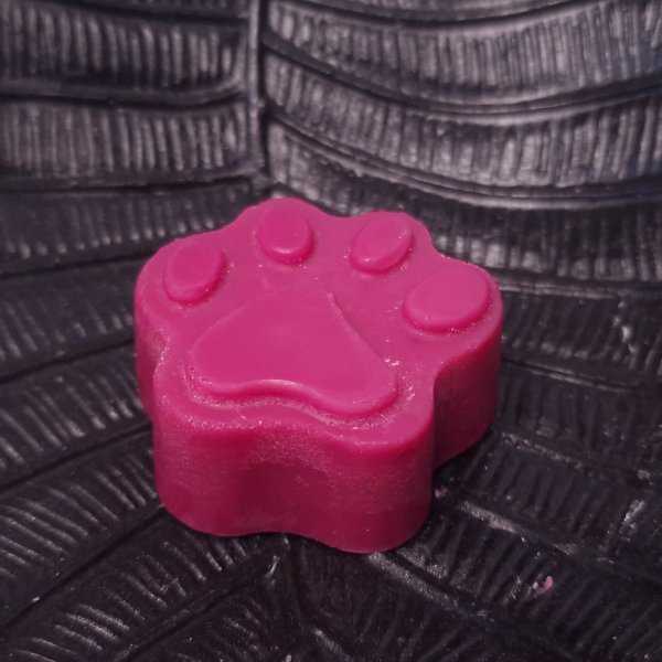 Empreinte Caniche