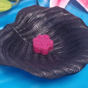 Empreinte Caniche
