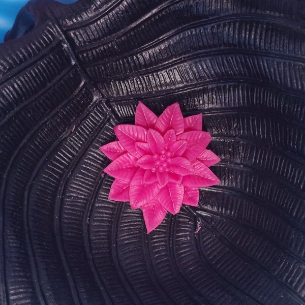 Fleur Tulipe
